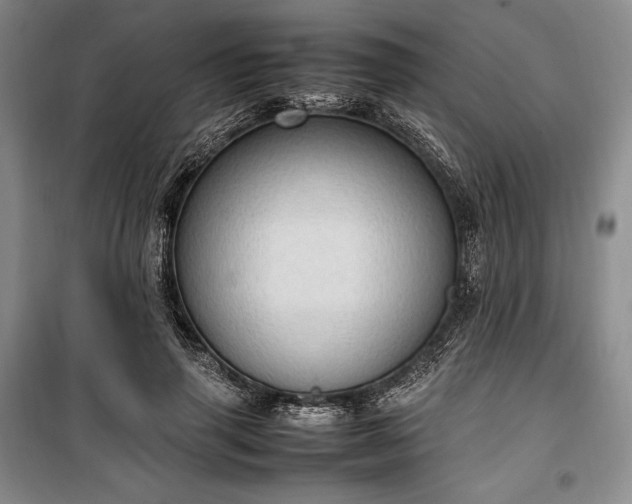 X0000100350645200806130953