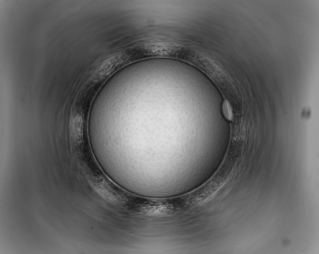 X0000100350646200806130953