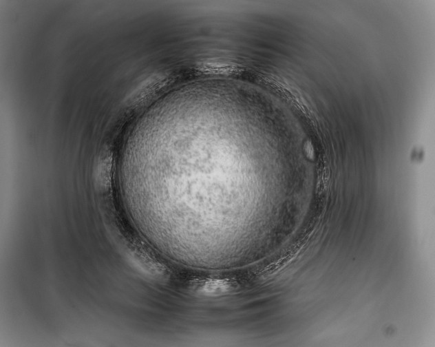 X0000100350647200806130953