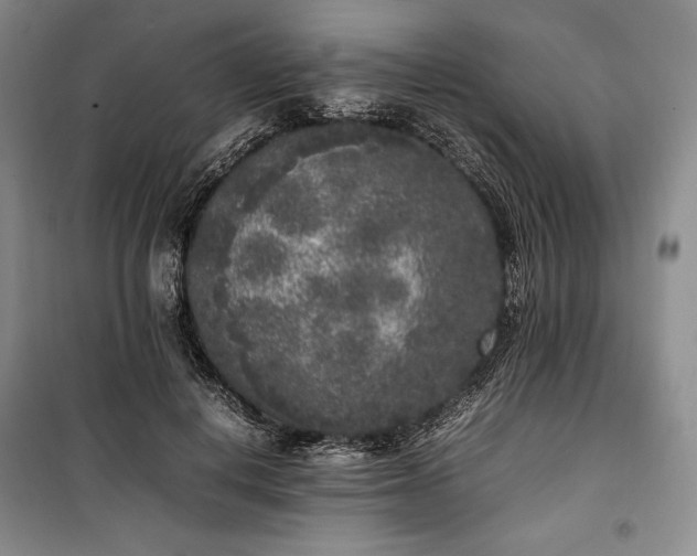 X0000100350648200806130953