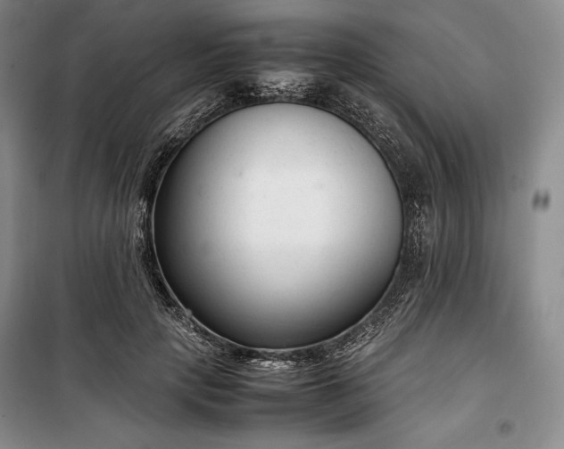 X0000100350649200806130953