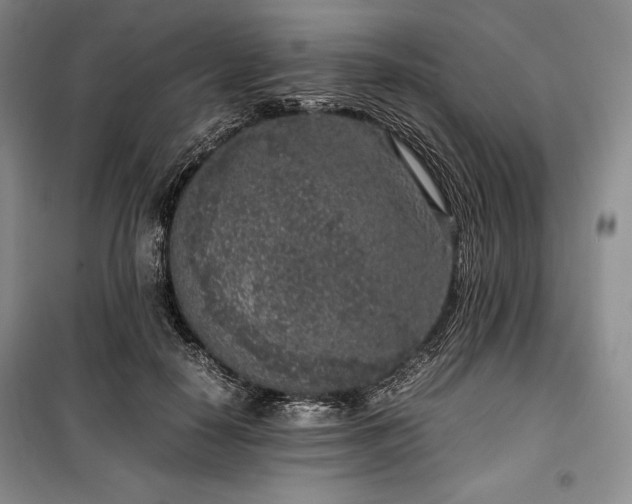 X0000100350650200806130953