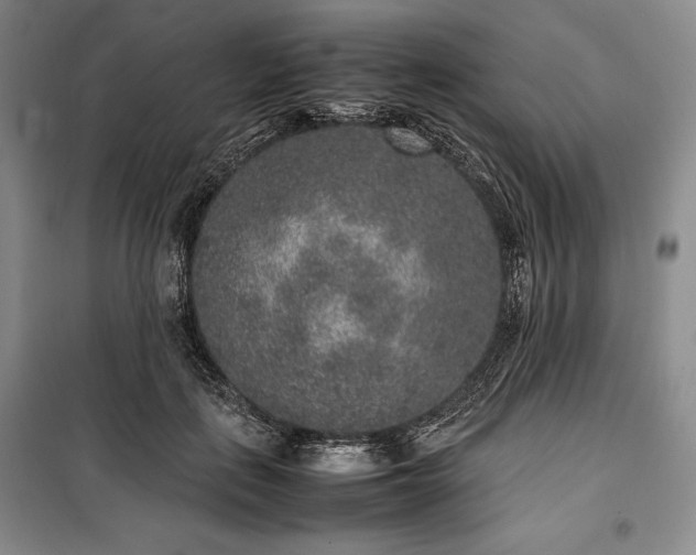 X0000100350651200806130953