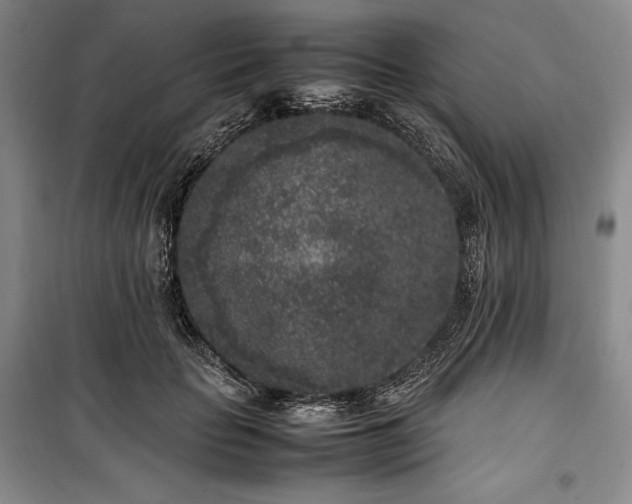 X0000100350653200806130953
