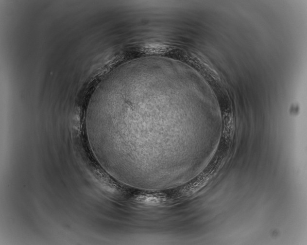 X0000100350655200806130953