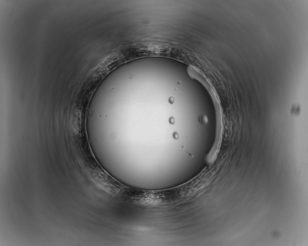 X0000100350656200806130953