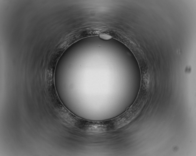 X0000100350657200806130953