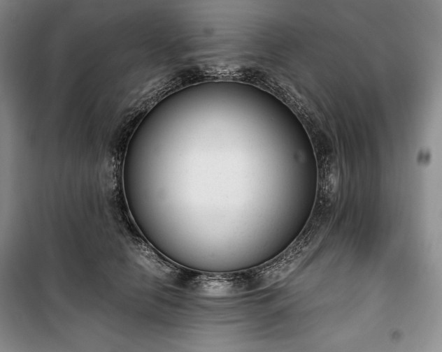 X0000100350658200806130953