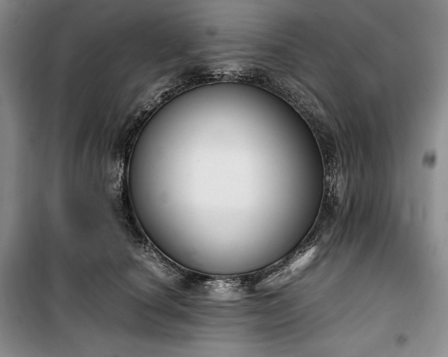 X0000100350660200806130953