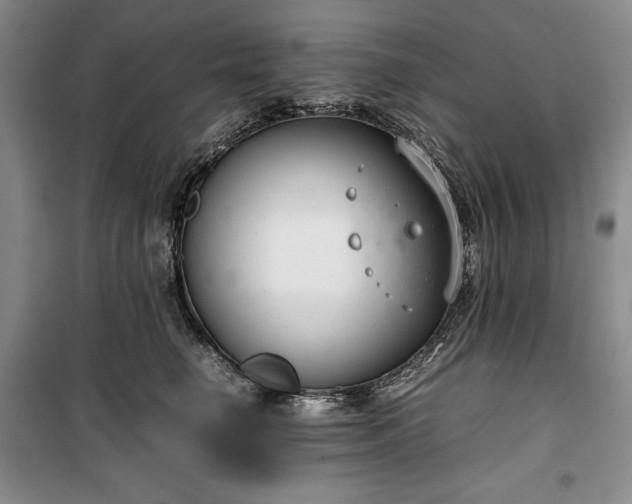 X0000100350662200806130953