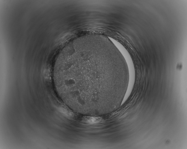 X0000100350663200806130953