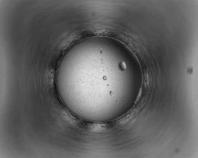 X0000100350664200806130953