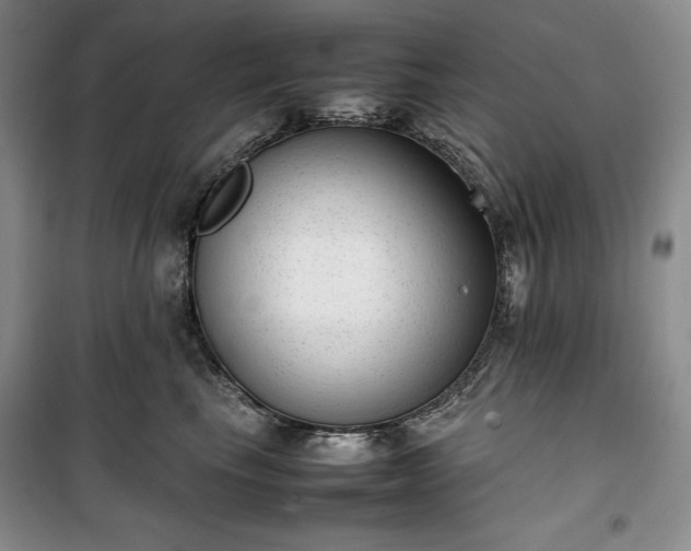 X0000100350665200806130953