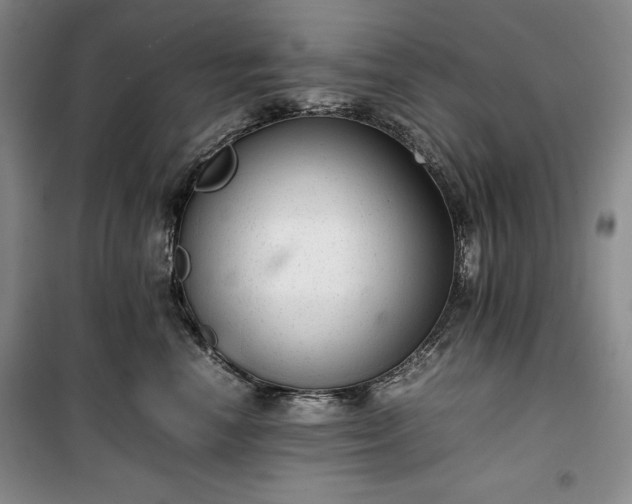 X0000100350666200806130953