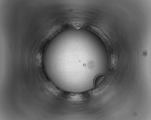 X0000100350667200806130953