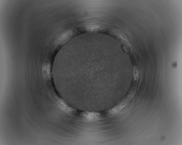 X0000100350670200806130953