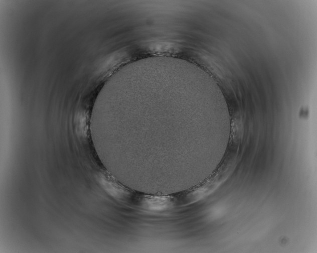 X0000100350671200806130953