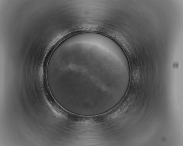 X0000100350674200806130953