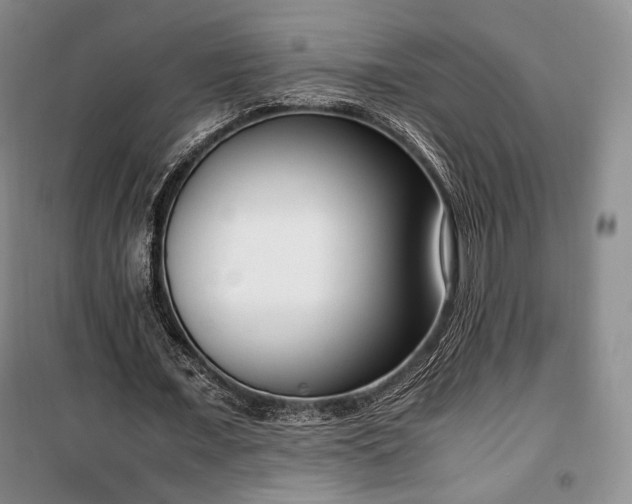 X0000100350675200806130953