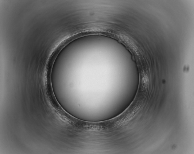 X0000100350676200806130953