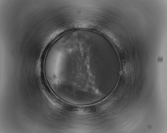 X0000100350678200806130953