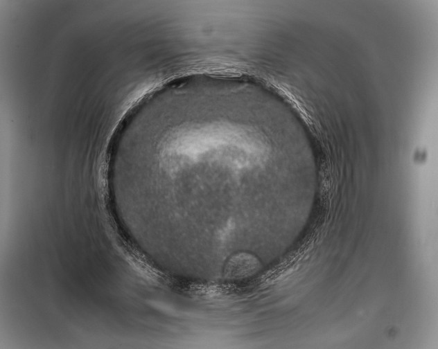X0000100350679200806130953
