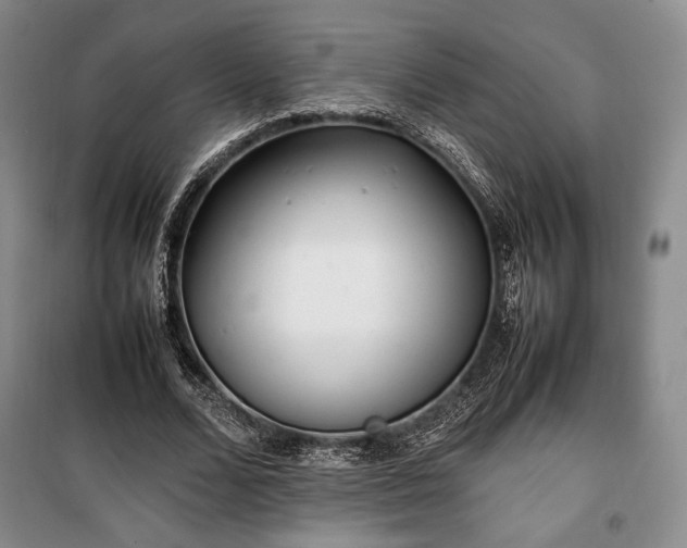 X0000100350680200806130953