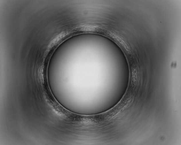 X0000100350682200806130953