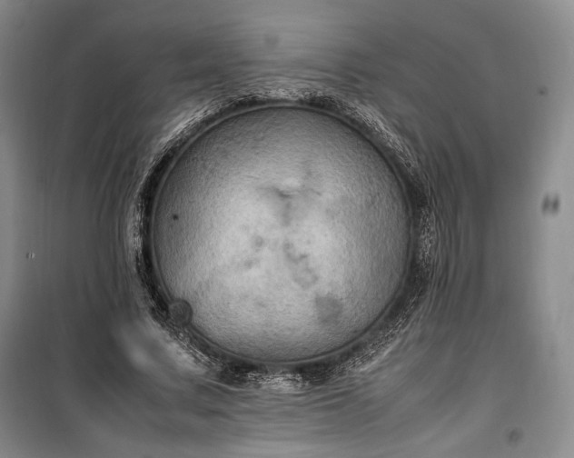 X0000100350683200806130953