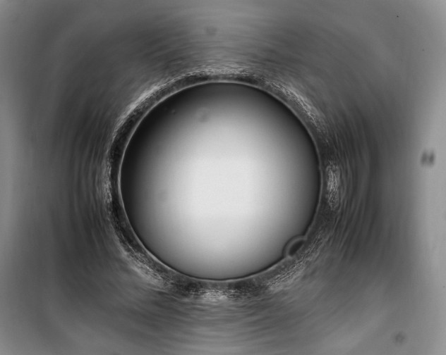 X0000100350684200806130953
