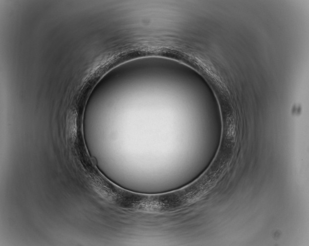 X0000100350685200806130953