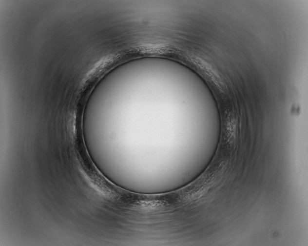 X0000100350686200806130953