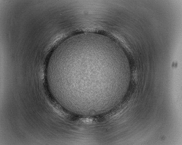 X0000100350687200806130953