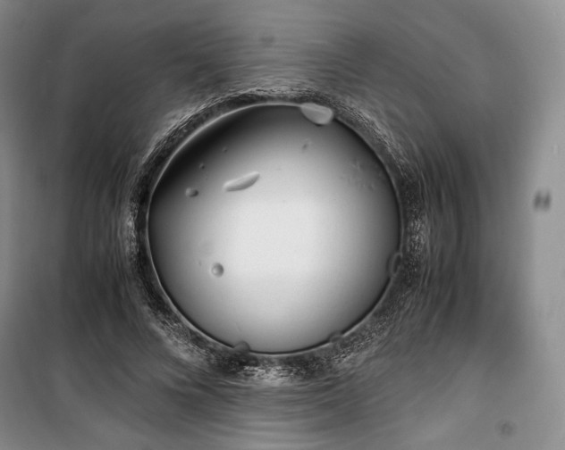 X0000100350688200806130953