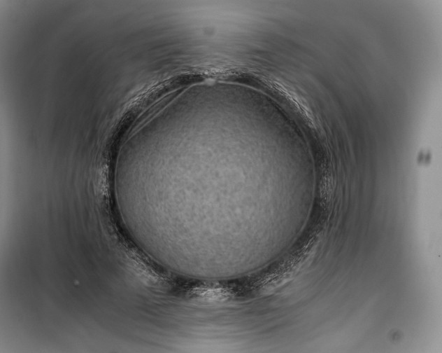 X0000100350689200806130952