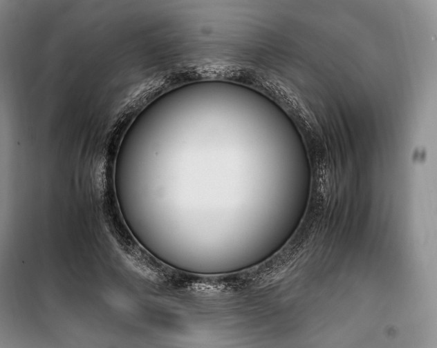 X0000100350690200806130952