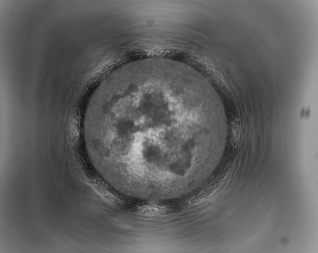 X0000100350691200806130952