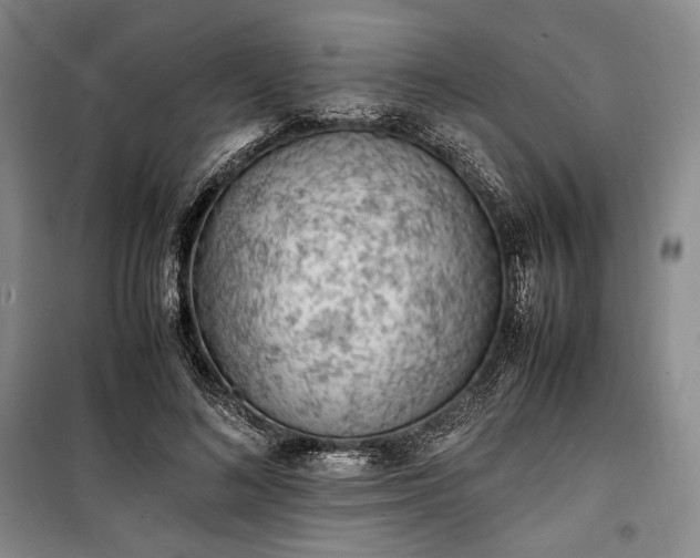 X0000100350692200806130952