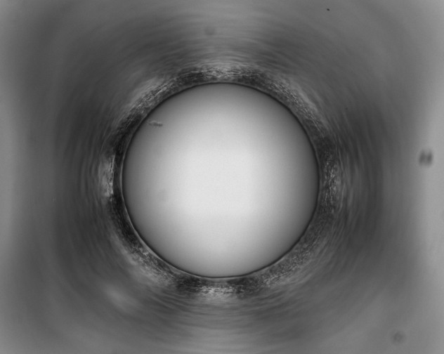 X0000100350694200806130952