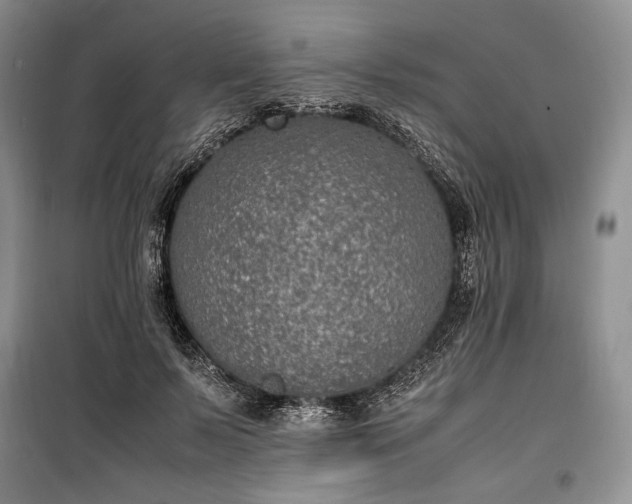 X0000100350695200806130952