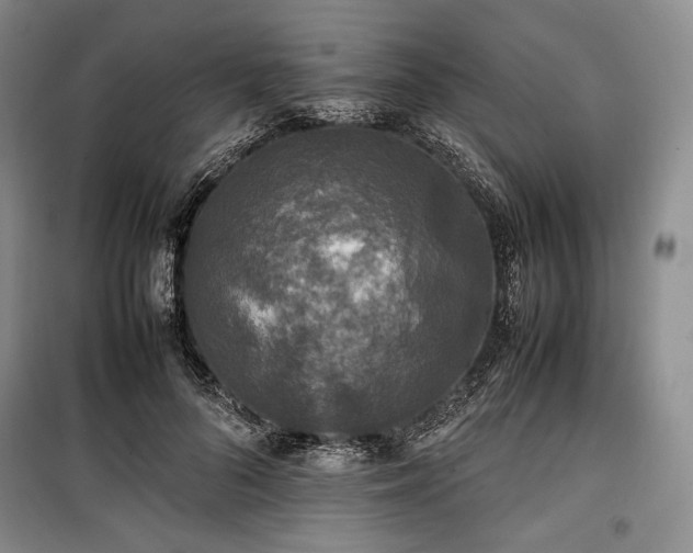 X0000100350696200806130952