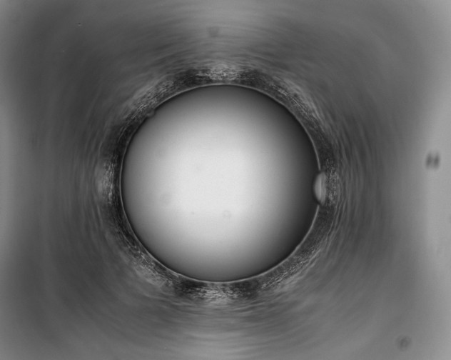 X0000100350697200806130952