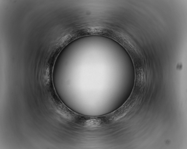 X0000100350700200806130952