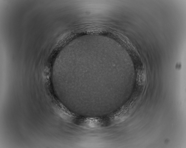 X0000100350701200806130952