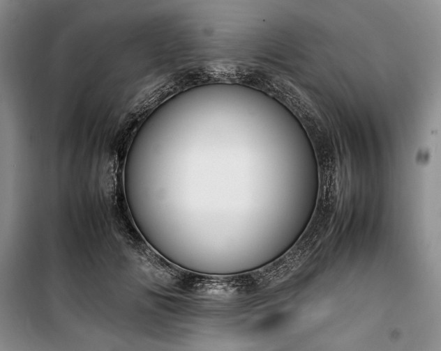 X0000100350702200806130952