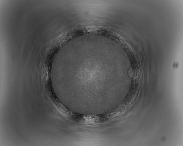 X0000100350703200806130952