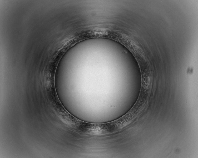 X0000100350704200806130952