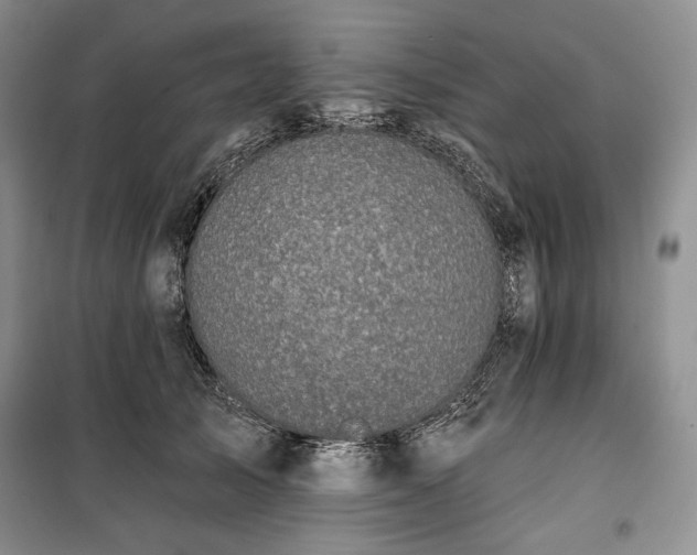 X0000100350705200806130952