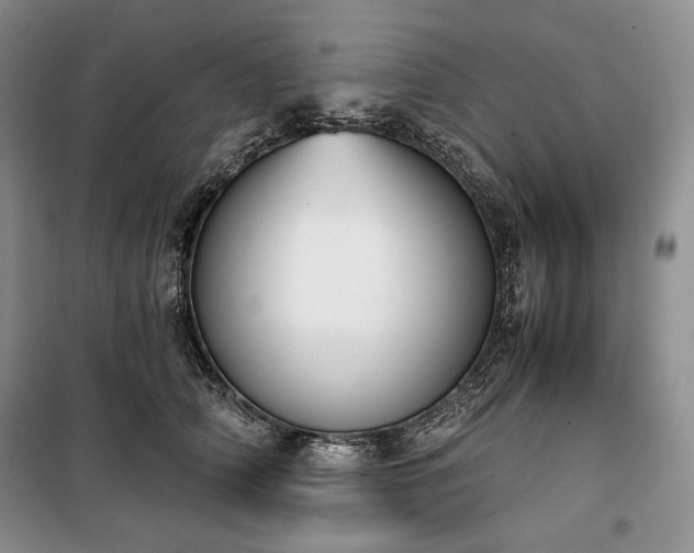 X0000100350706200806130952