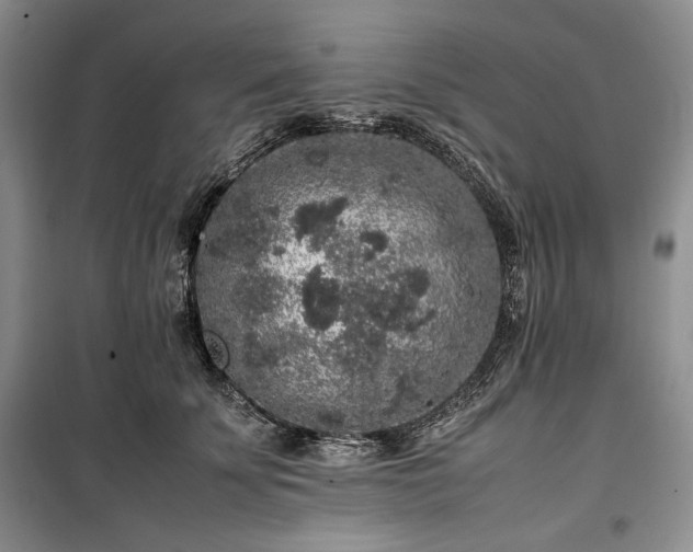X0000100350707200806130952